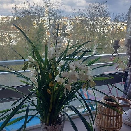 Chambre Chez L'Habitante Avec Salle De Bain Et Cuisine Communes - Presence D'Un Chat Bordeaux Buitenkant foto